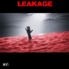 The Bloody water Leakage
